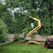 Best Landscape Design and Installation  in Citrus City, TX