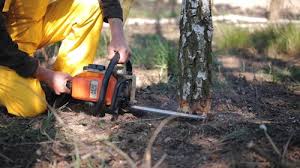 Best Lawn Mowing  in Citrus City, TX