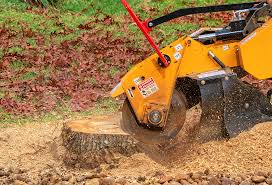 Best Pest Control for Lawns  in Citrus City, TX