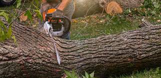 Best Weed Control  in Citrus City, TX