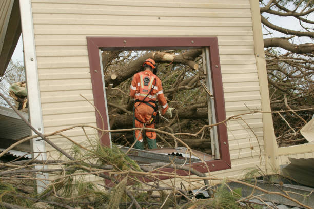 Best Tree Mulching  in Citrus City, TX