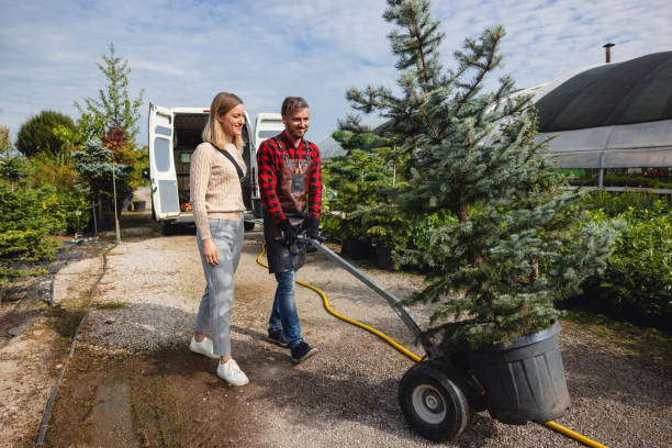 Best Tree Cabling and Bracing  in Citrus City, TX